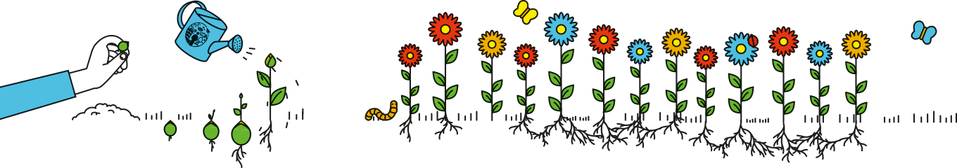 flowers flowers