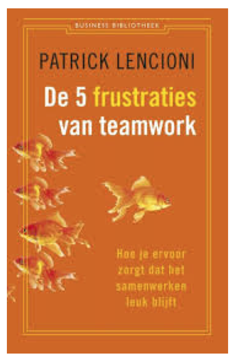 De 5 frustraties van teamwork